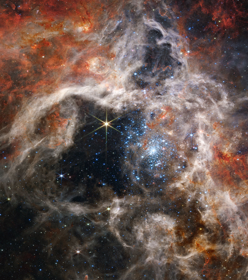 Tarantula Nebula Framed & Mounted Print