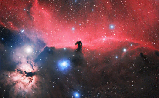 The Intriguing Dark Beauty of the Horsehead Nebula