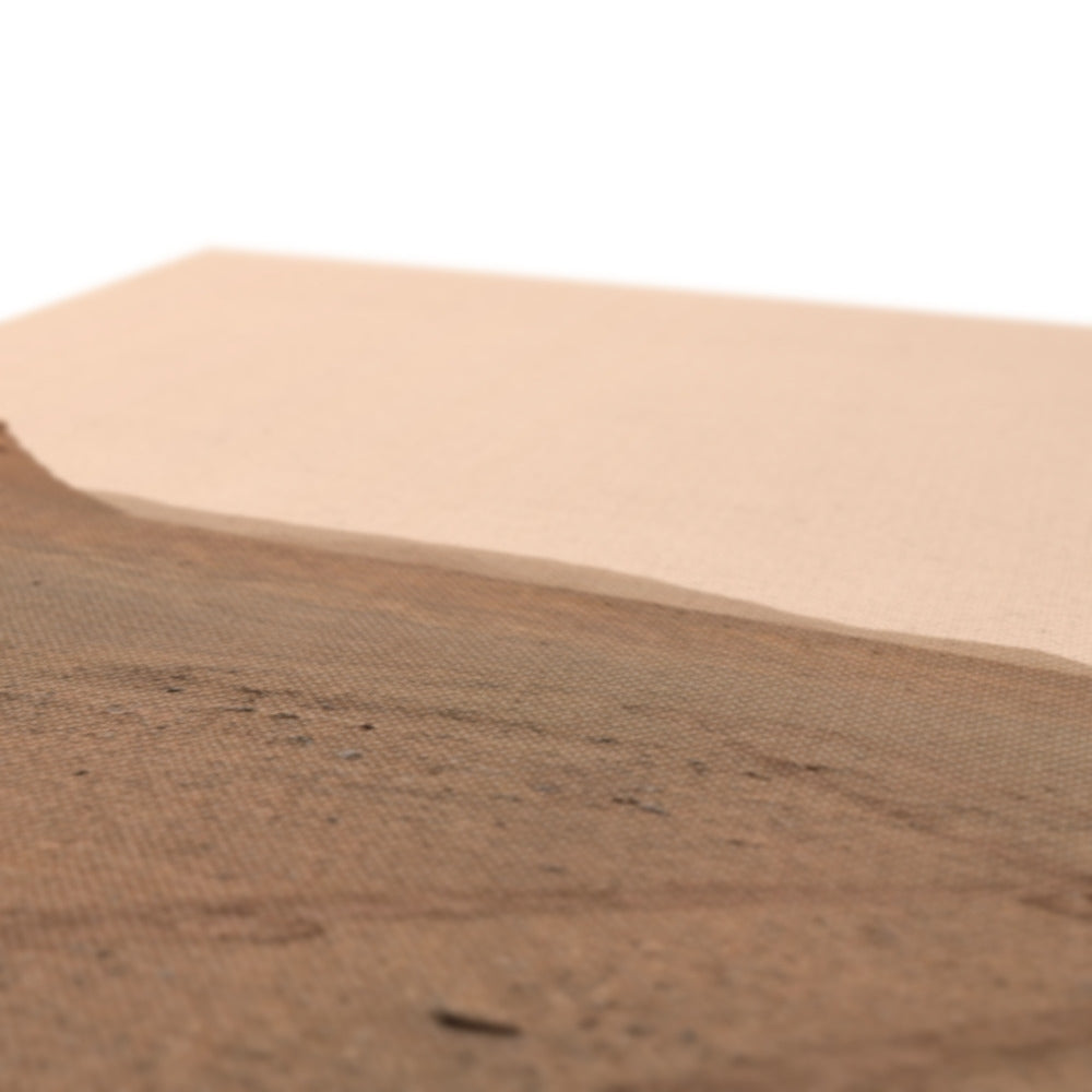 Mars : Perseverance Selfie Canvas