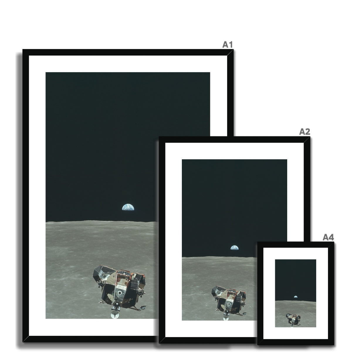 Size comparison of Apollo 11 Lunar Module framed and mounted prints in different sizes