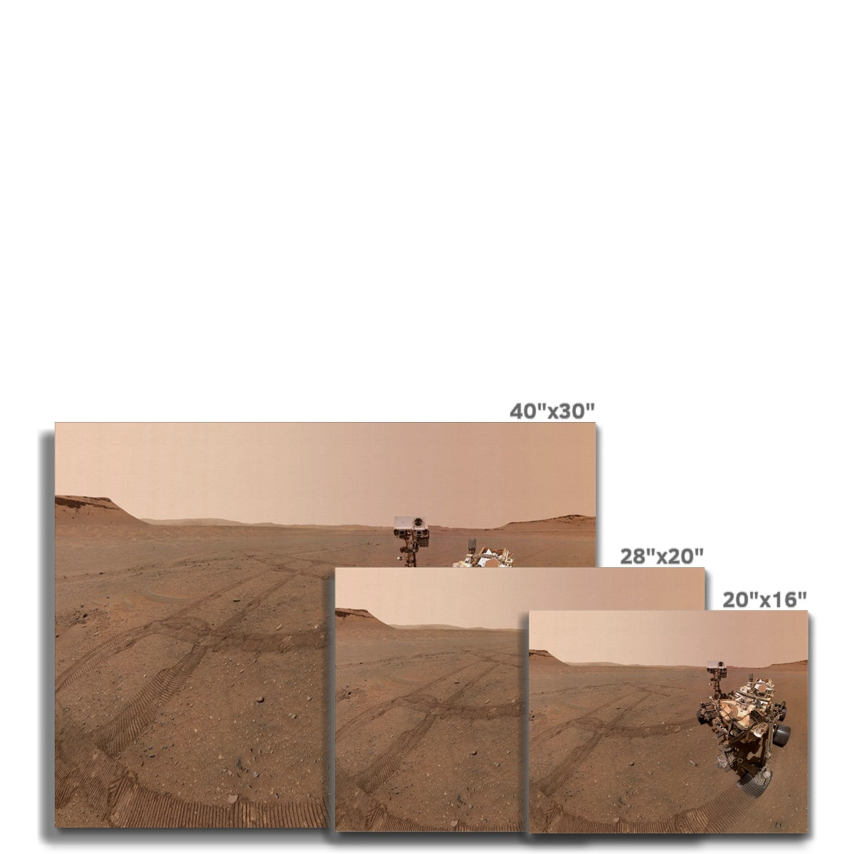Mars : Perseverance Selfie Canvas