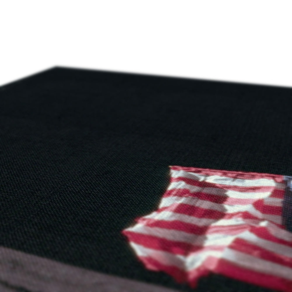 Apollo 11 Flag Canvas