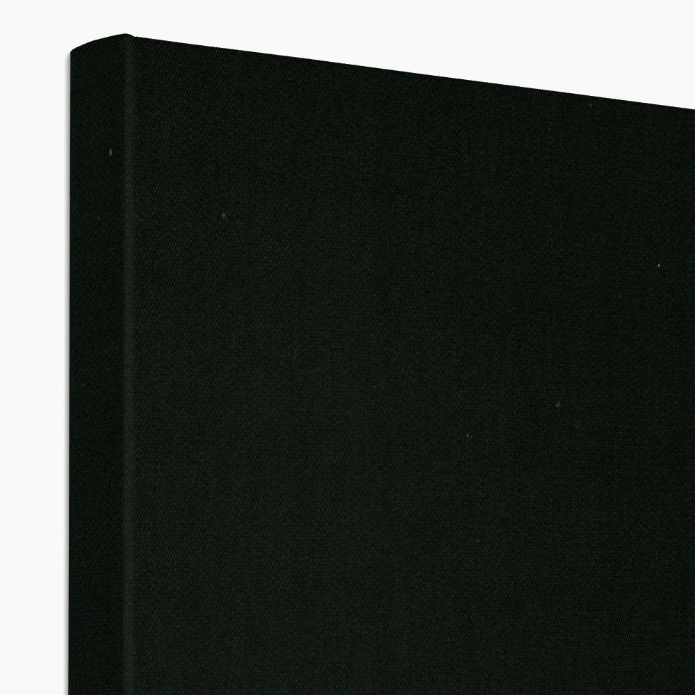 Earthrise Canvas