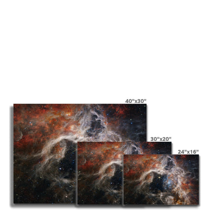 Tarantula Nebula Canvas