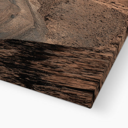 Mars : Gediz Vallis Canvas