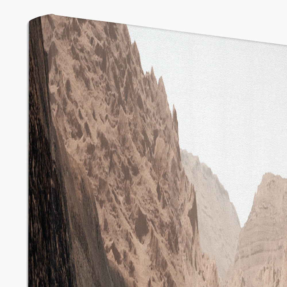 Mars : Gediz Vallis Canvas