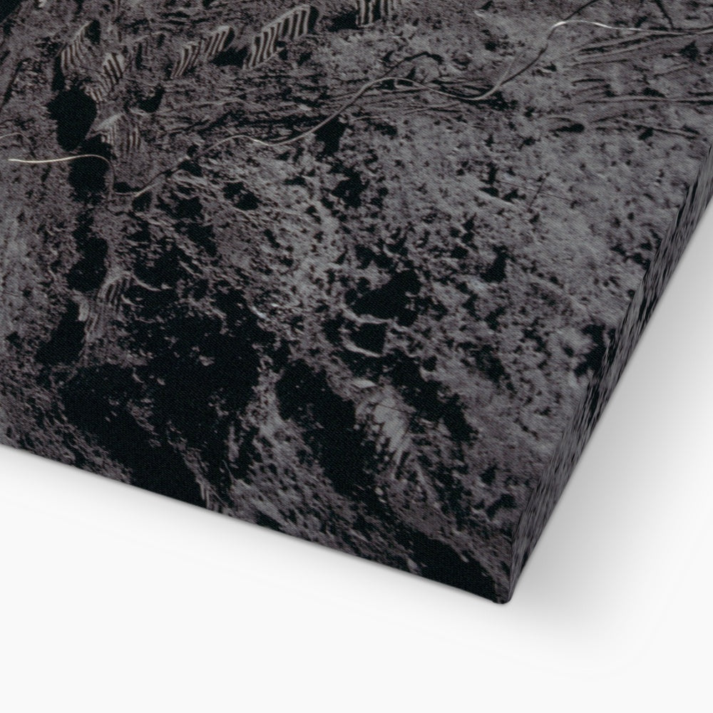 Apollo 11 Flag Canvas