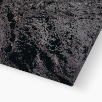 Apollo 11 Flag Canvas