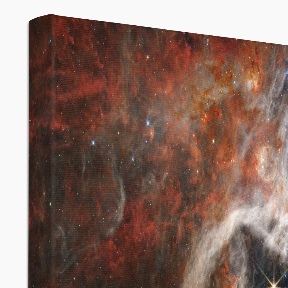 Tarantula Nebula Canvas