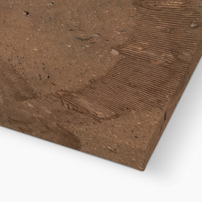 Mars : Perseverance Selfie Canvas