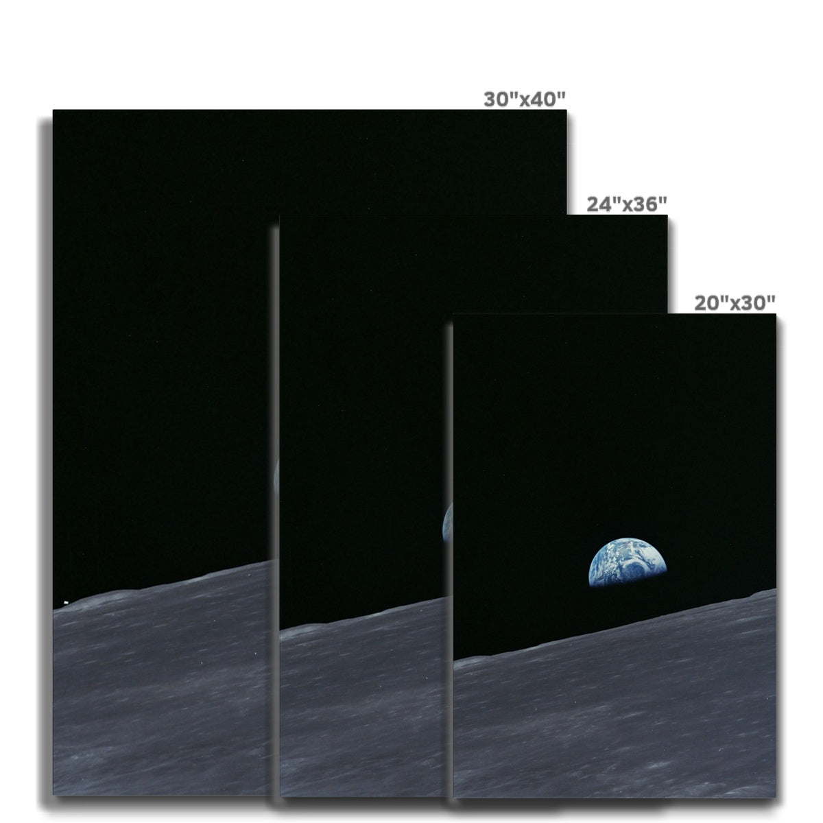 Earthrise Canvas